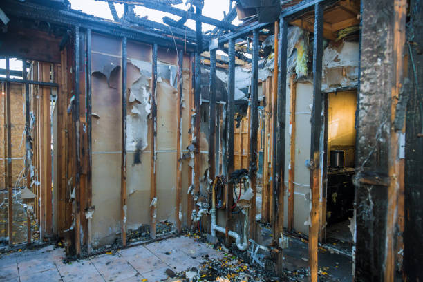 Professional Fire Damage Removal technician working in Belton, SC